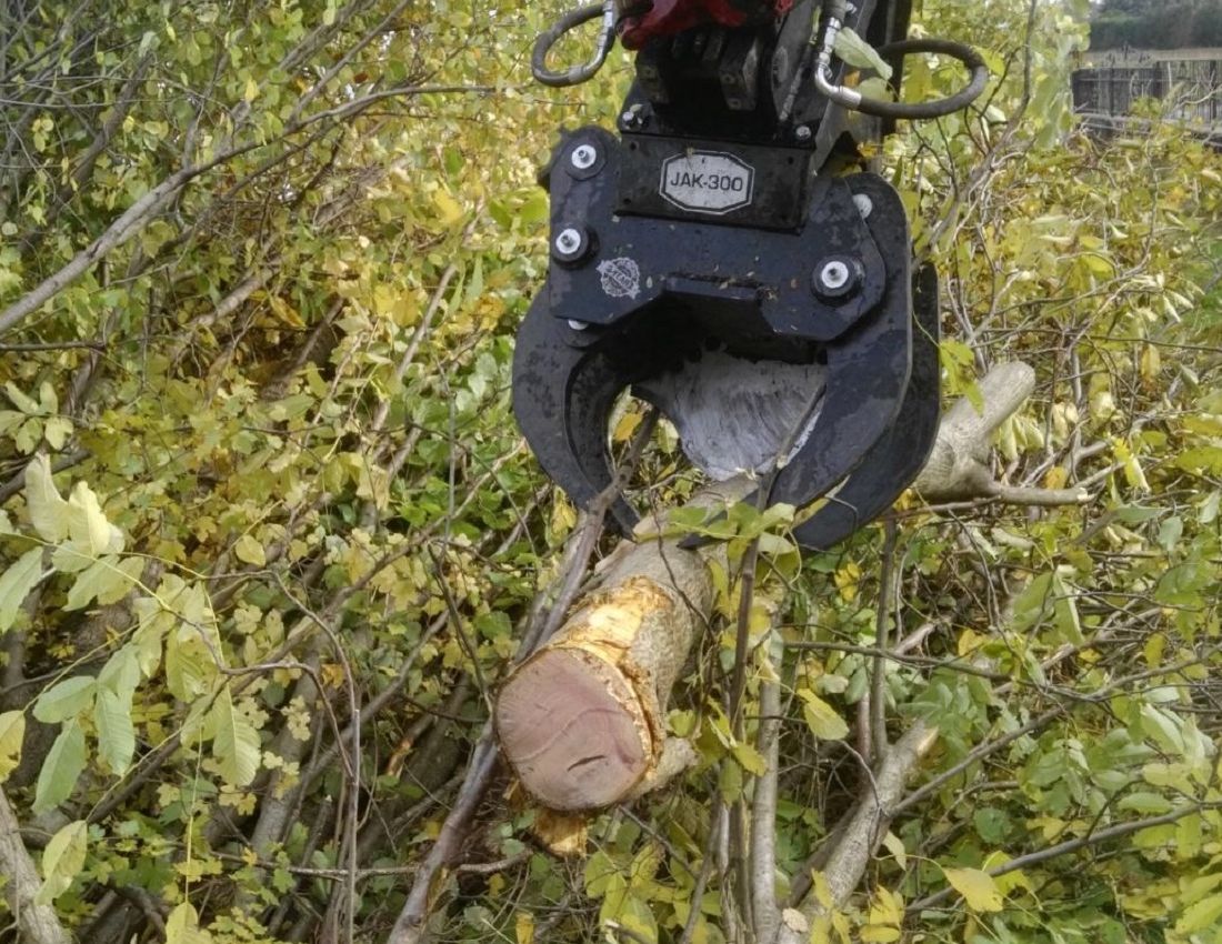 M545 mit Baumschere, entfernt Gehölze bis 25 cm Durchmesser