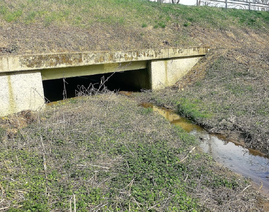 verlandete Brücke vor der Räumung