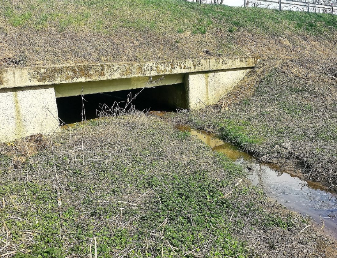 verlandete Brücke vor der Räumung
