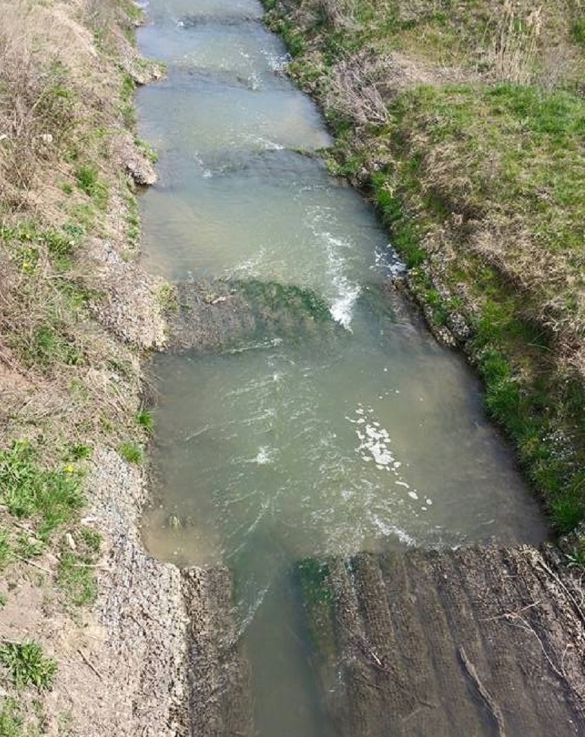 Fischtreppe ein Jahr nach dem Einbau