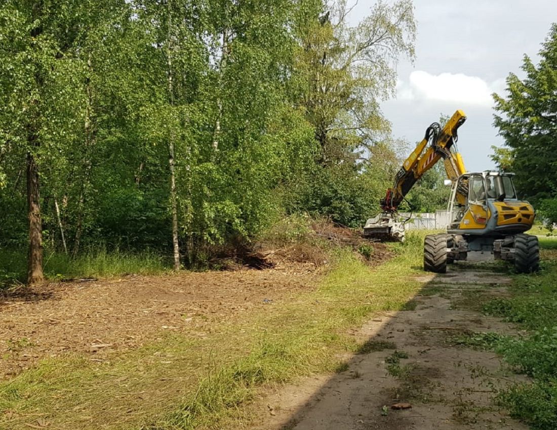 Menzi Muck mit Mulcher