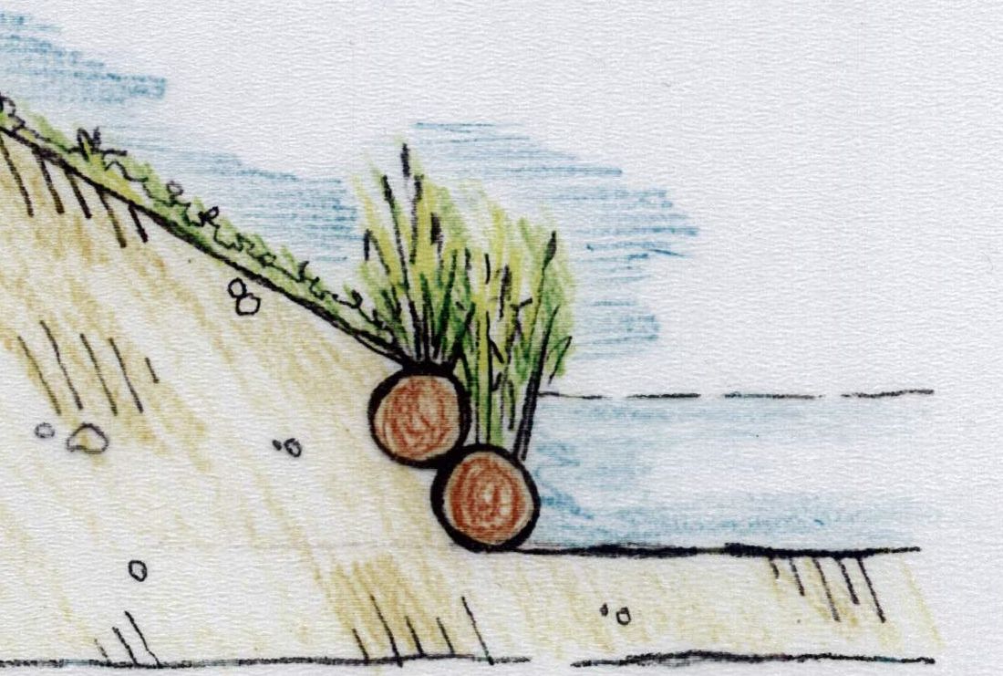 Einbau der Röhrichtwalze