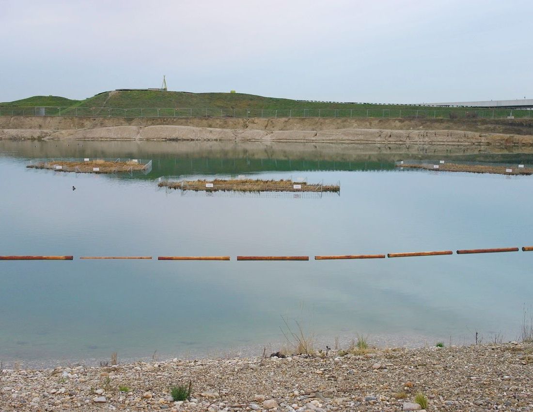 Schwimminsel aus Röhricht